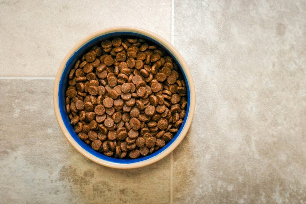 Bowl of dry dog food on a tile floor
